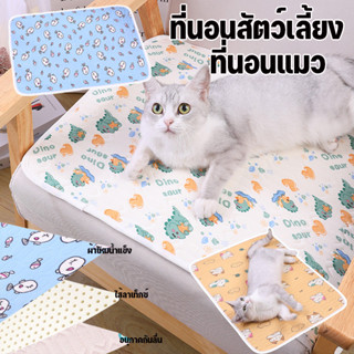 ที่นอนสัตว์เลี้ยง ที่นอนเย็น Pet Cool Mat วัสดุลาเท็กซ์ การท…