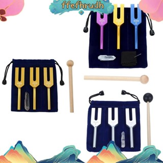 Ffefhrudh ชุดส้อมปรับแต่งเสียง 4096 Hz 4160 Hz 4225 Hz สําหร…