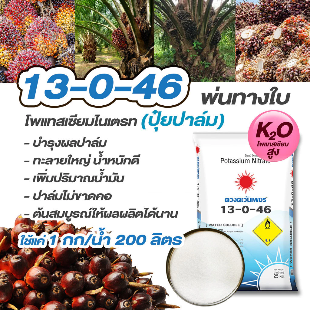 แม่ปุ๋ย 13-0-46 โพแทสเซียมไนเตรท เพิ่มการสะสมอาหารและสร้างเนื้อ เร่งการออกดอก ปุ๋ยเกล็ด ปุ๋ยทางใบ (แบ่งขาย)