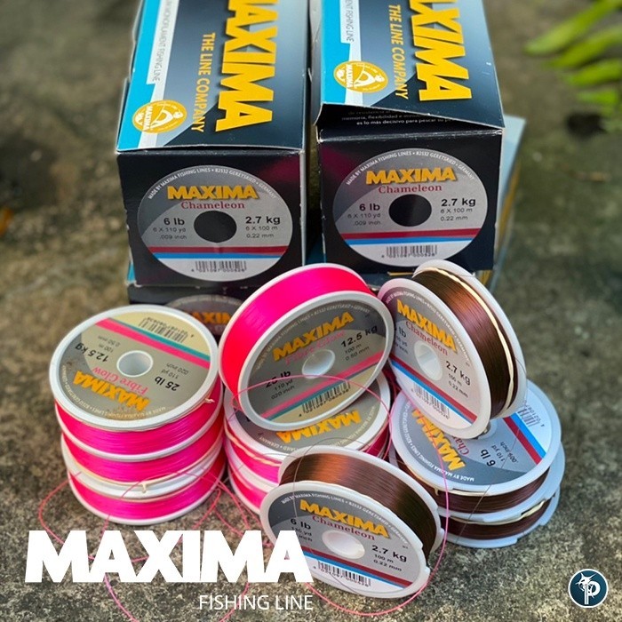 สายเอ็น เอ็น MAXIMA THE LINE COMPANY