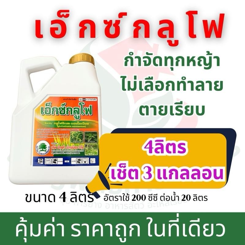 เซ็ต 3 แกลลอน * เอ็กซ์กลูโฟ 4 ลิตรกลูโฟซิเนต แอมโมเนียม กำจัดทุกส่วนของวัชพืชที่เป็นสีเขียว ใบแคบ ใบกว้าง ระยะปลอดฝนสั้น