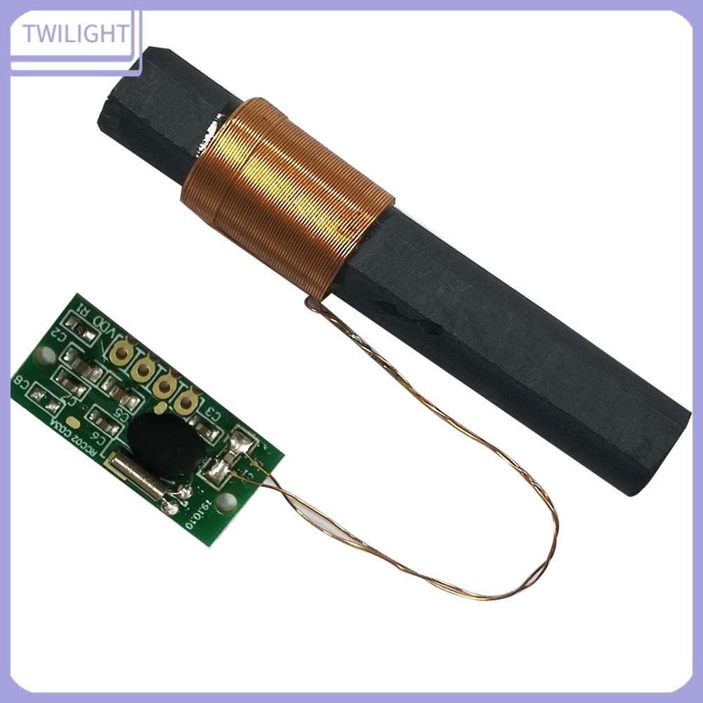 Wwvb/60khz โมดูลรับสัญญาณวิทยุ นาฬิกาวิทยุ เสาอากาศ TWILIGHT