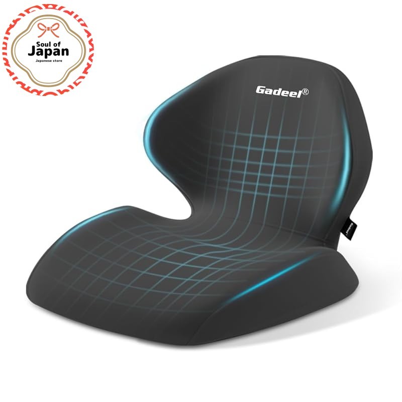 Gadeel Memory Foam Lumbar Support Cushion for Lower Back Pain, Ergonomic Seat Cushion with Hip and P