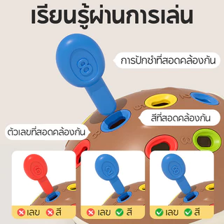 BHQ ของเล่นเพื่อการศึกษา เม่นน้อย ประสานมือและตา การฝึกความสนใจ ของเล่นสําหรับเด็กอายุ 1-3 ปี