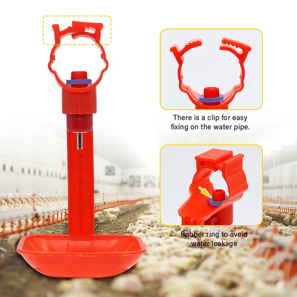 🇹🇭 ถูก💯🥇 6 หุน นิปเปิ้ลให้น้ำไก่ นิปเปิ้ลอัตโนมัติไก่ ถ้วยน้ำไก่ นกกระทา ที่ให้น้ำไก่อัตโนมัติ รุ่นสีแดง - รูปที่ 3