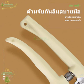 [พร้อมส่ง] กรรไกรตัดกิ่งไม้ แต่งกิ่งไม้ ปากโค้ง ปากตรง ขนาด 7 นิ้ว สีครีม