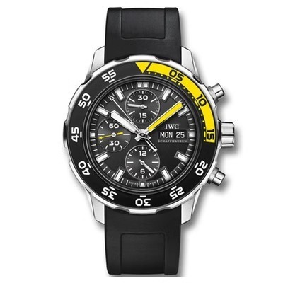 Immediate Shot IWC IWC Ocean Timepiece Series Stainless Steel Automatic Mechanical Men 's Watch IW376709 Iwc