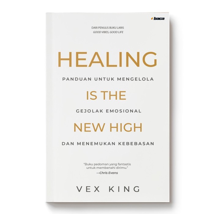 Healing Is The New High Vex King Book