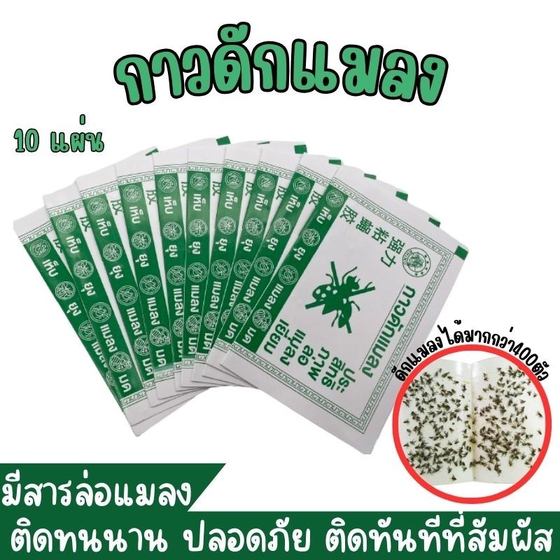 LO HOME กาวดักแมลงวัน 10 แผ่น รุ่นกระดาษ กาวเหนียวแน่น  กระดาษสีเขียว กาวไม่เยิ้ม มีสารล่อแมลงในกาว insect glue