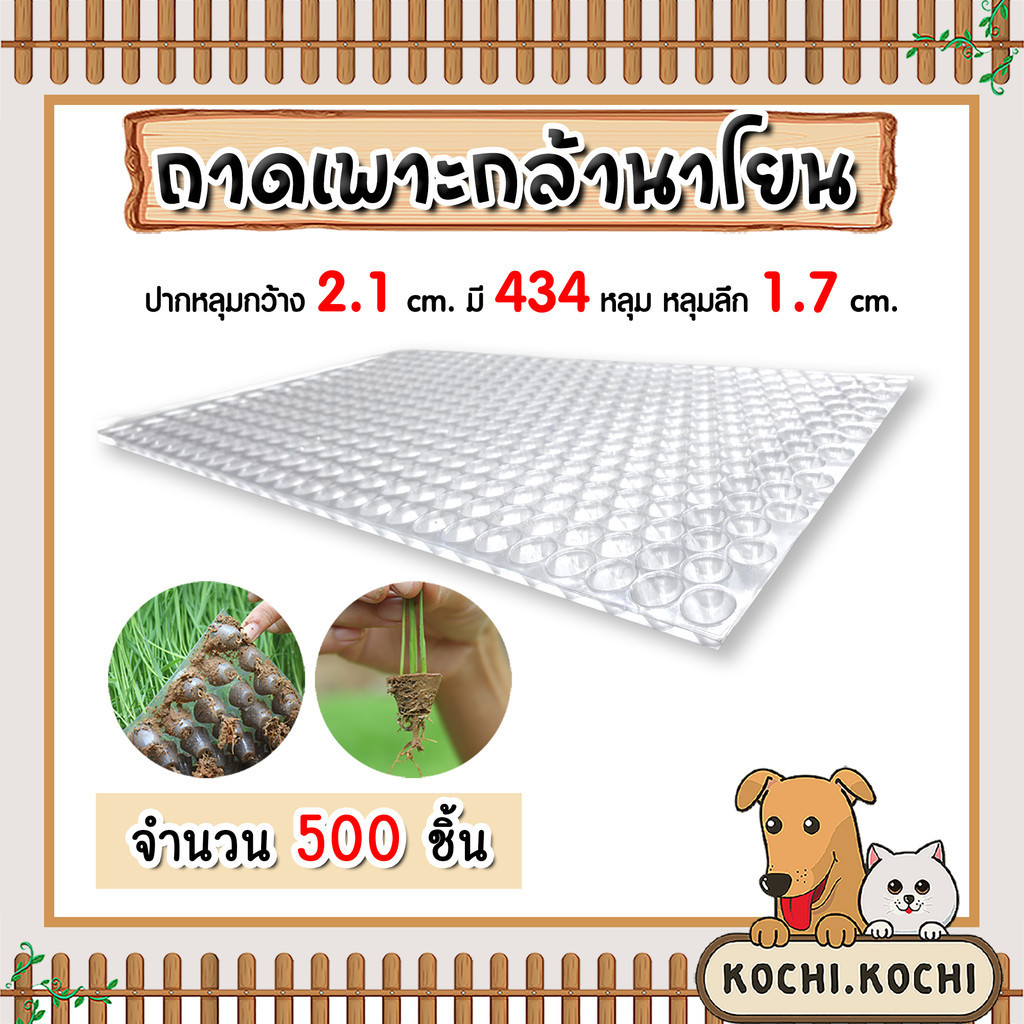 ถาดเพาะกล้านาโยน 434 หลุม แพ็ค 500 ชิ้น  ถาดเพาะต้นข้าว ถาดเพาะนาโยน เพาะกล้าข้าว ถาดนาโยน ถาดเพาะกล