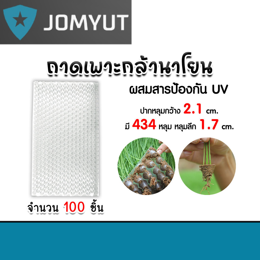 ถาดเพาะกล้านาโยน 434 หลุม แพ็ค 100 ชิ้น ถาดเพาะปลูก ถาดเพาะกล้า ถาดเพาะนาโยน เพาะกล้านาโยน กล้านาโยน