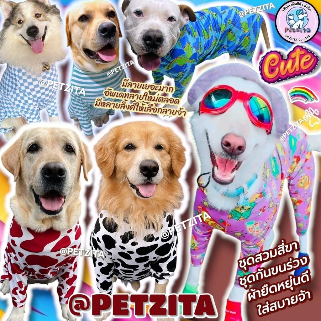 🇹🇭พร้อมส่ง🇹🇭 🐕 ลายใหม่ (ลิ้งค์ที่6) BIG SIZE ชุดสี่ขา ชุดกันขนร่วง สุนัขพันธุ์ใหญ่ หมาใหญ่ เสื้อหมา โกลเด้น ไซบีเรียน...