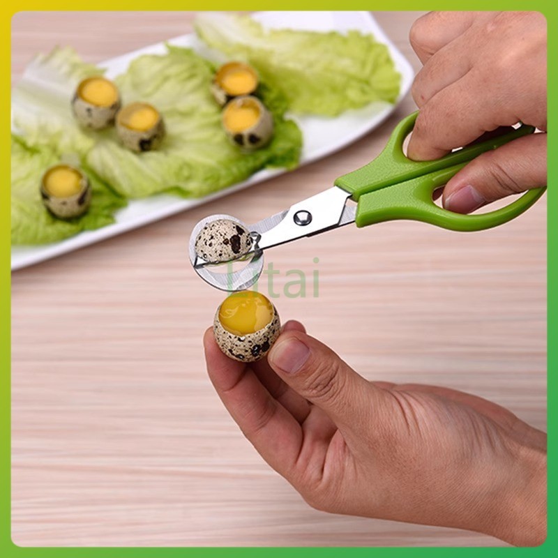 litai กรรไกรตัดไข่นกกระทา กรรไกรตัดไข่สแตนเลส เครื่องมือเปิดไข่และไข่นก