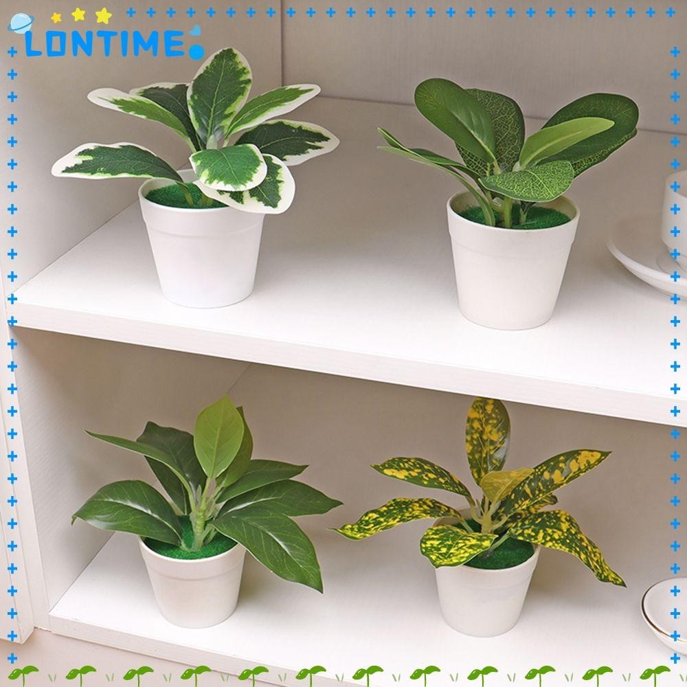 Lontime โมเดลต้นบอนไซจําลอง สําหรับตกแต่งบ้าน