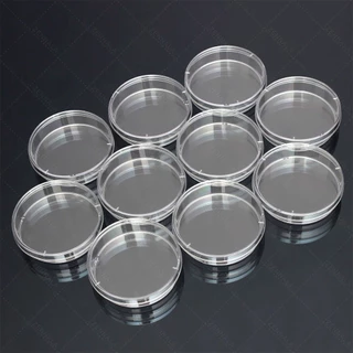 จานเพาะเชื้อ พลาสติก จานพร้อมฝาครอบ (10คู่/แพ็ค) Disposable Plastic Petri Dishes มีให้เลือก 5 ขนาด