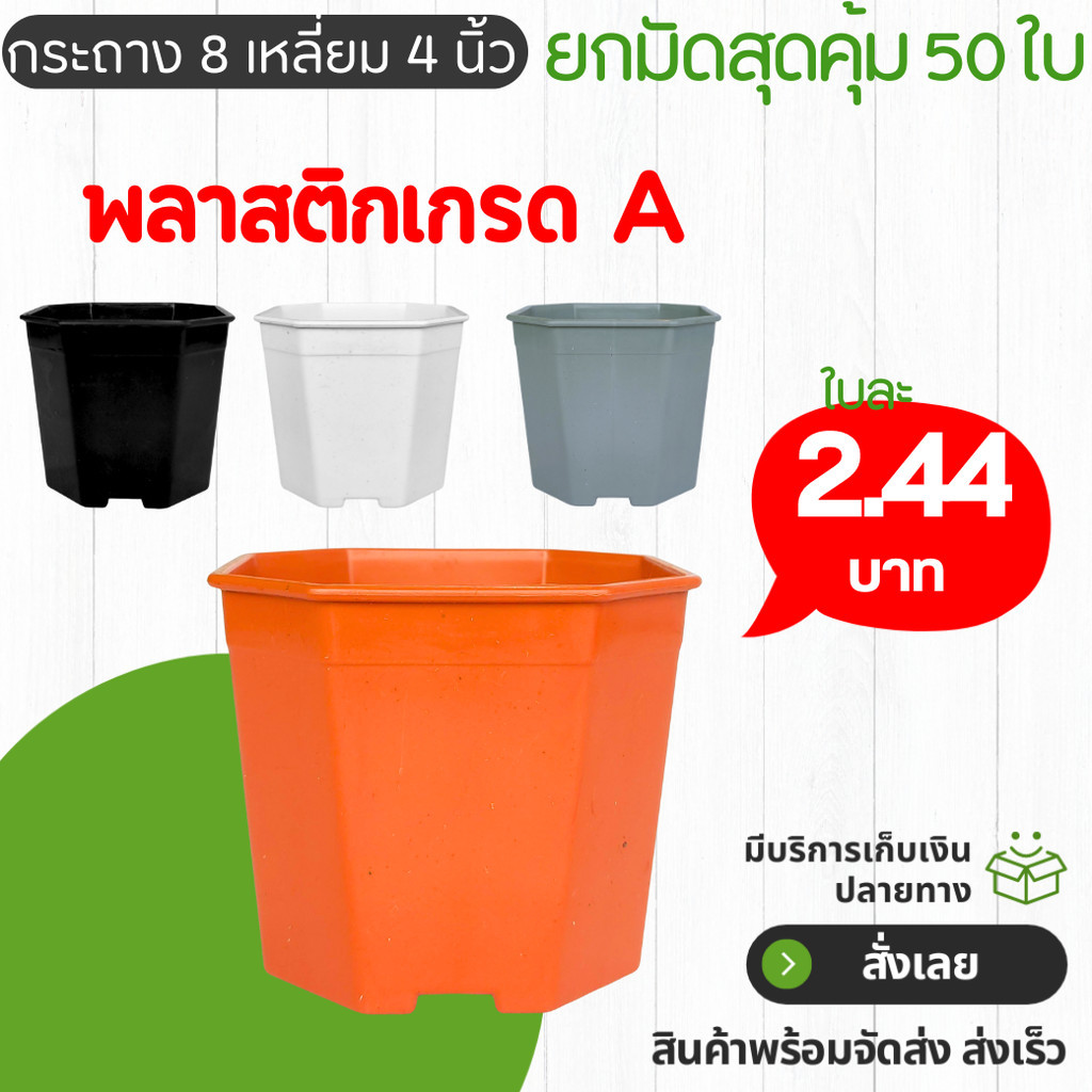 กระถาง กระถางแคคตัส กระถางแปดเหลี่ยม 4 นิ้ว สีขาว Bundle 100 ใบ