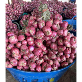 ( หอมจุก ) หอมแดงมัดจุก คละไซส์   น้ำหนัก  1 กิโลกรัม