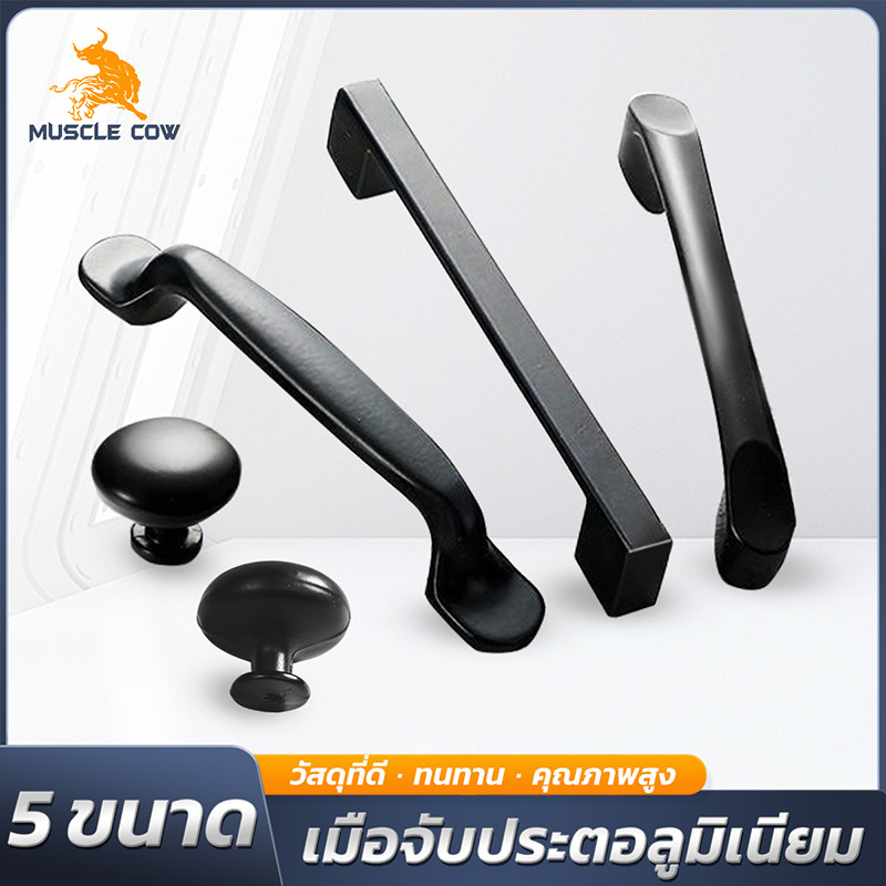 MUSCLE COW เกรียงโป๊ว สแตนเลส 2-6 นิ้ว (สำหรับโป๊วและขูดสี)