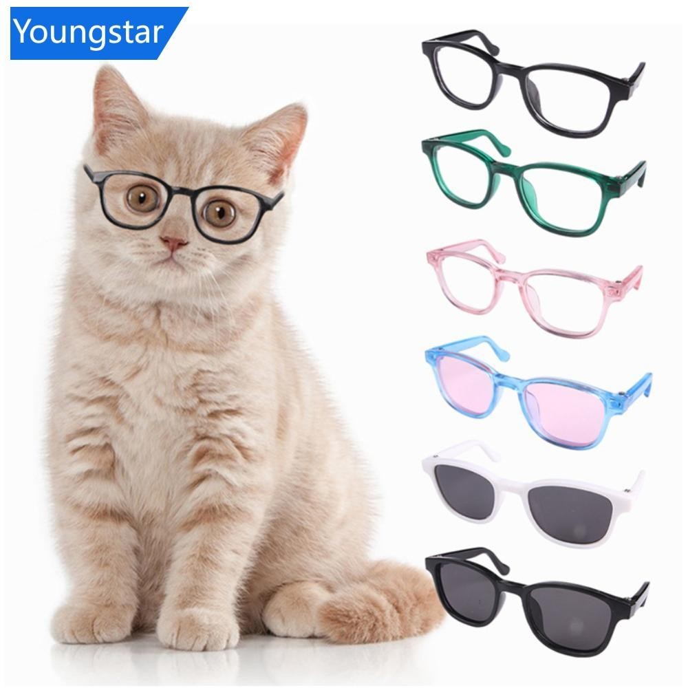[ForeverYoung] แว่นตากันแดด I7V6 อุปกรณ์เสริม สําหรับสัตว์เลี้ยง สุนัข แมว 1 ชิ้น