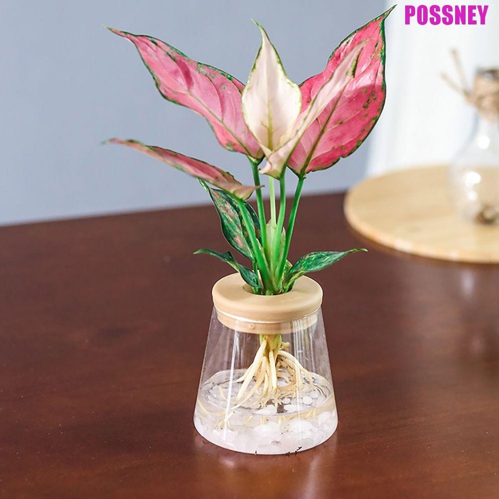 Possney Hydroponic กระถางดอกไม้ Little Fresh 1 pcs พืชน้ําสําหรับในร่ม/กลางแจ้งเลียนแบบแก้วโปร่งใส Garden Supplies