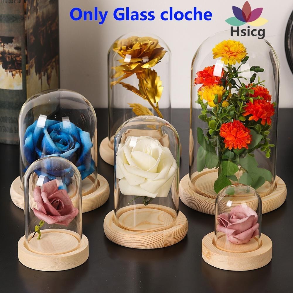 Hsicg แก ้ ว cloche Terrarium โต ๊ ะพืช Terrarium Jar ขวดใสดอกไม ้ กล ่ องเก ็ บ