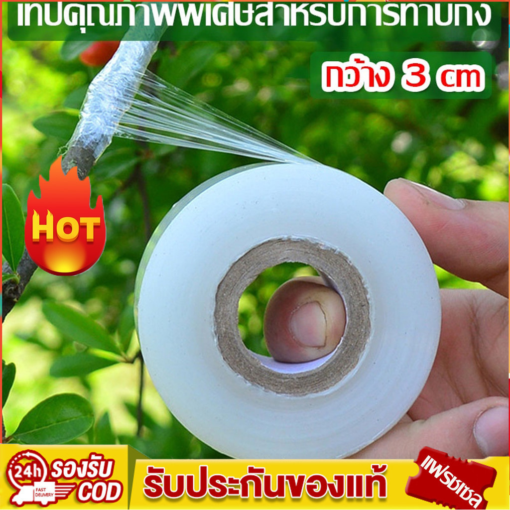 เทปยืดพันกิ่ง ฟิล์มพันของ ยาว 120 เมตร ฟิล์มใส เทปยืด ยืดได้อีกเท่าตัว เหนียว ไม่มีกาว สำหรับตอนกิ่ง ติดตา