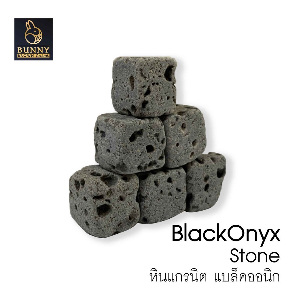 "หินแกรนิต แบล็คออนิก (หินตกแต่งสี่เหลี่ยม)" จัดสวน แต่งสวน Bunny Brown