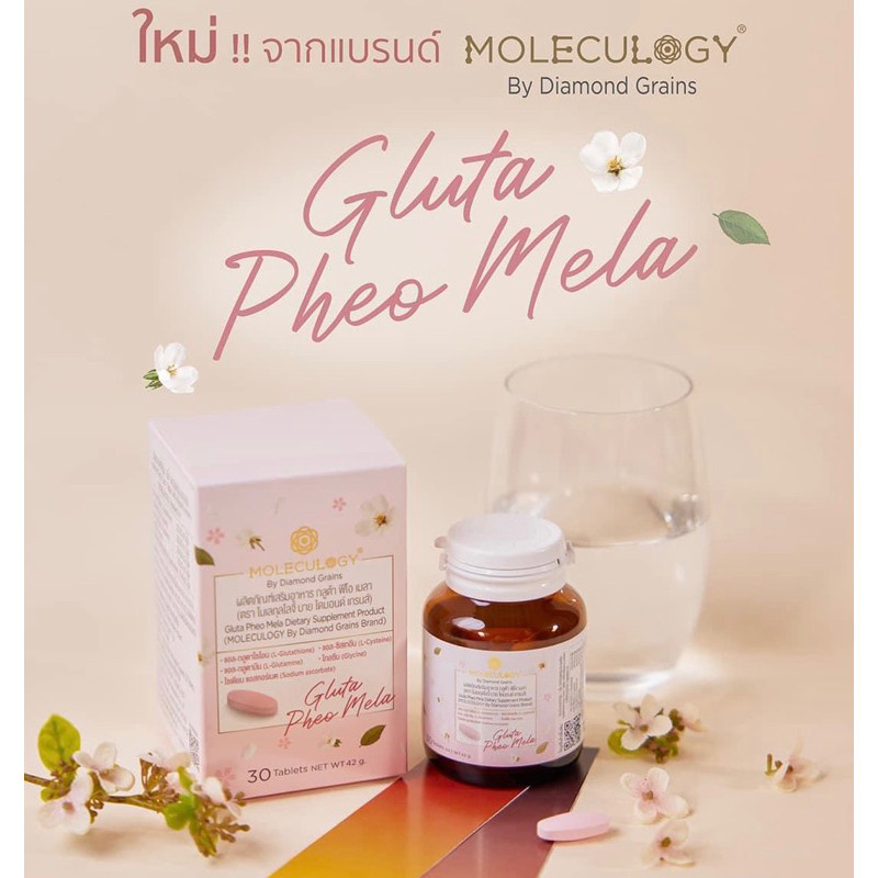 Moleculogy Gluta Pheo Mela (30เม็ด/กระปุก) ผลิตภัณฑ์เสริมอาหาร กลูต้า ฟีโอ เมลา ราคา ถูกที่สุด ดีลบีเคเค แกลเลอรีภาพที่ 2