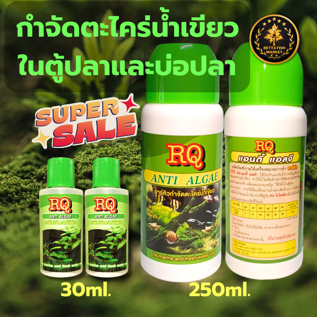 RQ ANTI ALGAE กำจัดตะไคร่น้ำเขียว 200ml. ตู้ปลาและบ่อปลา แก้ปัญหาน้ำสีเขียว