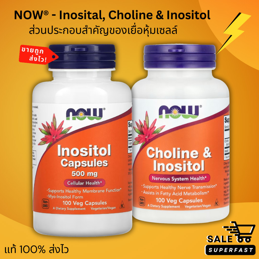 NEW LOT! Exp.2029 NOW Foods, Inositol Capsules, Choline & Inositol