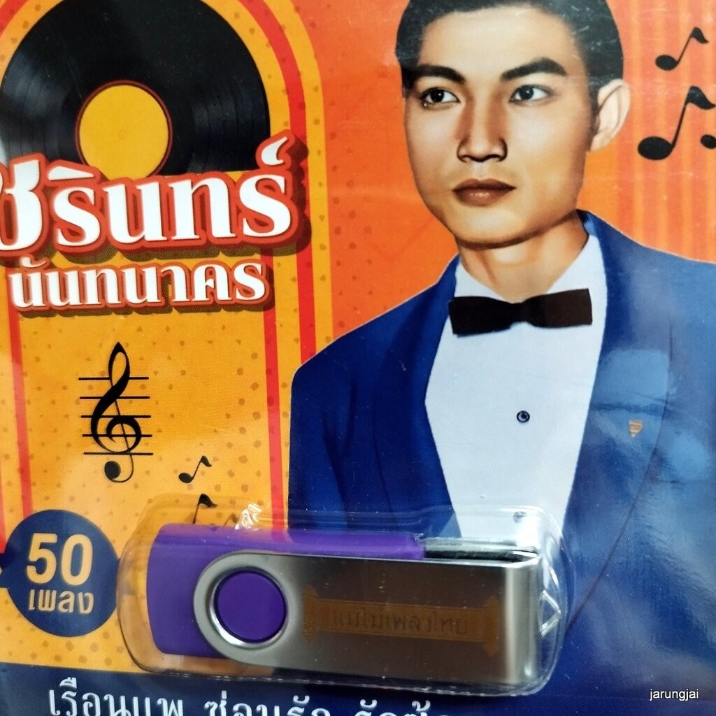 usb ชรินทร์ นันทนาคร 50 เพลง เรือนแพ ซ่อนรัก รักซ้อน แสนแสบ นิราชนุช mp3 usb แม่ไม้เพลงไทย af 113