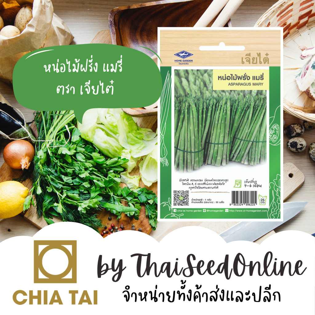 CTF1 เมล็ดพันธุ์ หน่อไม้ฝรั่งแมรี่ 50 เมล็ด ตราเจียไต๋ Asparagus Mary