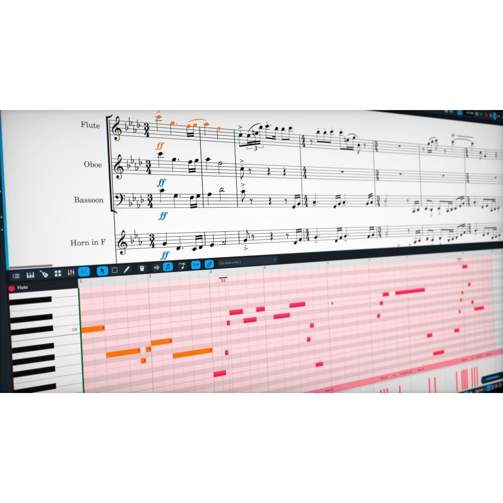 Dorico Professional  5 | Software windows / mac โปรแกรม เขียนโน๊ต
