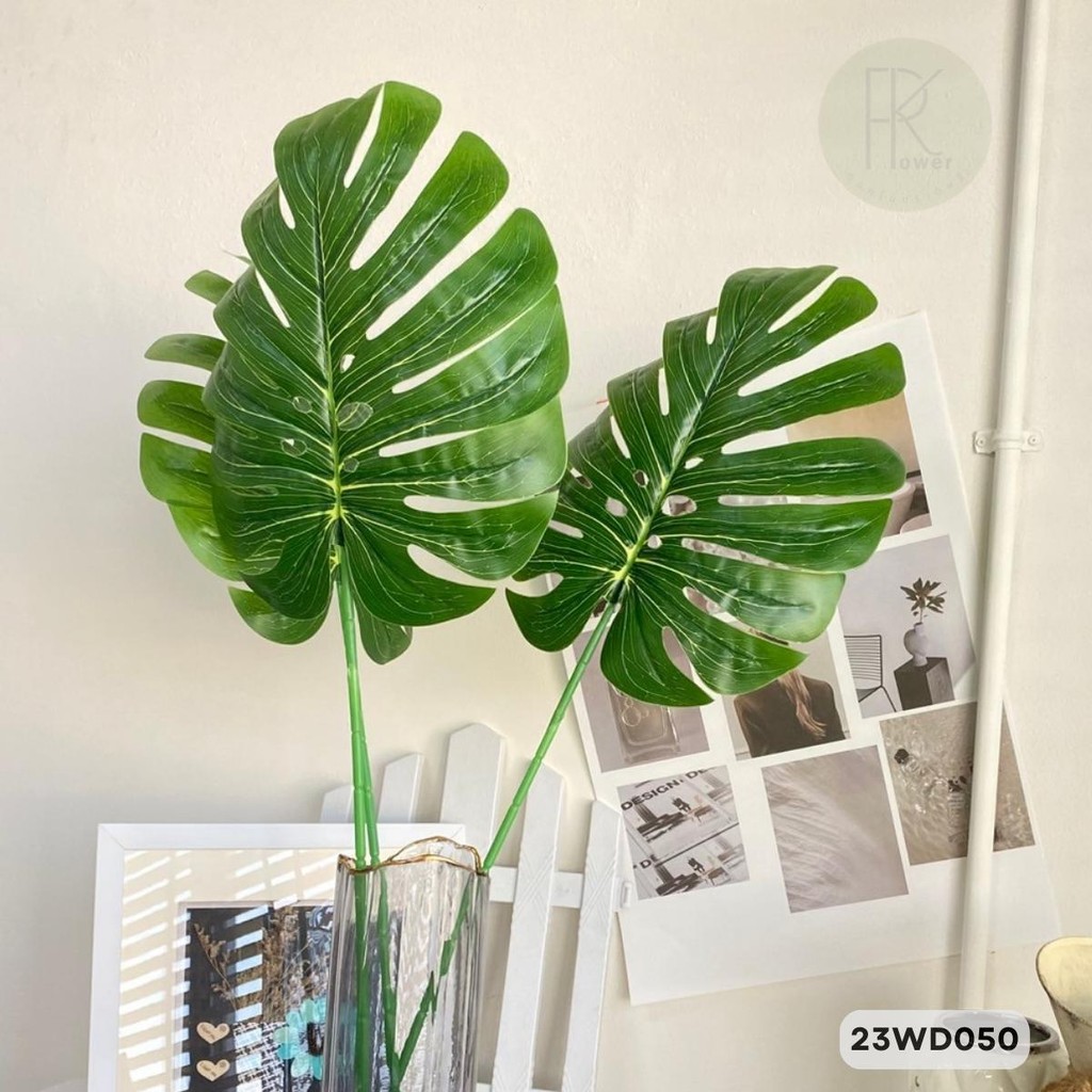 ใบมอลเดี่ยว ความยาว 77 cm. หน้าใบ 27*30 ต่อ 1 ก้าน - รูปที่ 2