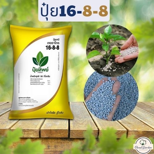 ปุ๋ย 16-8-8 ปุ๋ยทิพย์ , ปุ๋ยที่ช่วยให้พืชดูดซับสารอาหารได้ดี