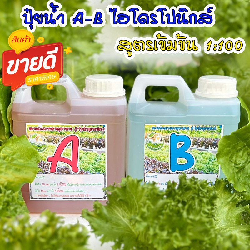 ปุ๋ยน้ำ AB ปุ๋ยไฮโดรโปรนิกส์ ขนาด 1 ลิตร 1000ml, 500ml, 250ml ใช้ปลูก ผักสลัด ผักไทย กินใบ