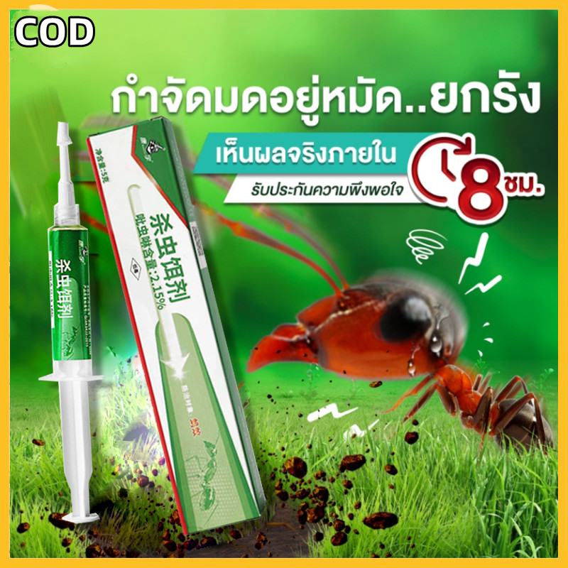 Ant bait กำจัดมด เจลกำจัดมด ไม่อัตรายต่อสัตว์เลียง เหยื่อกำจัดมด เหยื่อมด เหยื่อล่อมด ยาฆ่ามด ตายยกรัง ไม่มากวนใจ