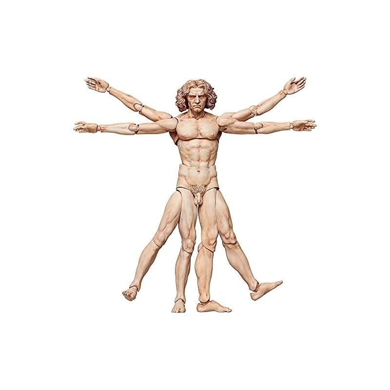 figma Table Museum Vitruvian Human Figure - non-scale ABS&amp;PVC painted posable figure