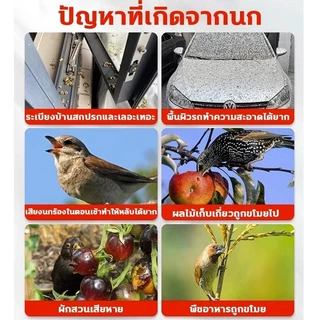 【ไม่มีนกตลอดไป การจัดส่งรวดเร็ว】 ก้อนไล่นก ไม่เป็นอันตราย ไล่นกพิราบถาวร กันน้ำกันแดด ไล่นก ไล่นกพิราบ ที่ไล่นก