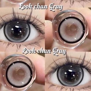 Lookchan Gray รุ่นโตกว่าตา ค่าอมน้ำสูง รุ่นโต บิ๊กอาย ขายดี …