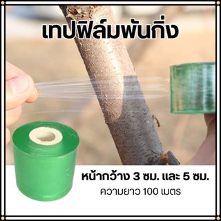 เทปยืดพันกิ่ง เทปฟิล์มพันกิ่ง หน้ากว้าง3ซม. และ 5ซม. ชนิดไม่…
