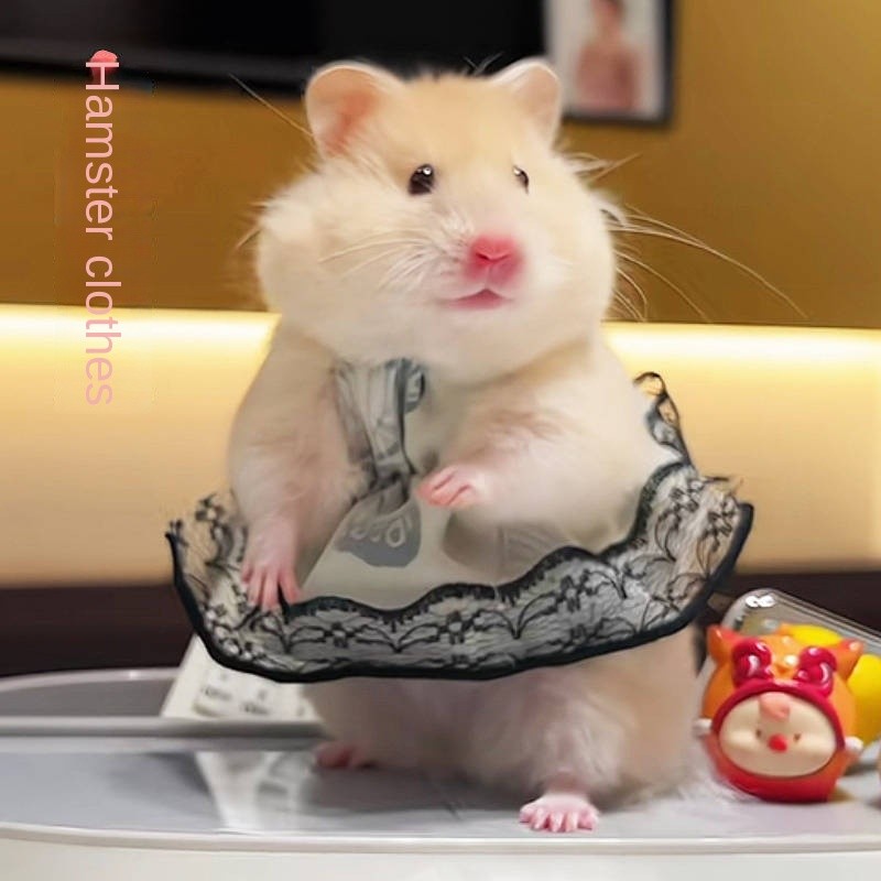 【Ready Stock】 Hamster Clothes Four Seasons Universal Clothing Skirt Minipet Sweater Djungarian Hamst