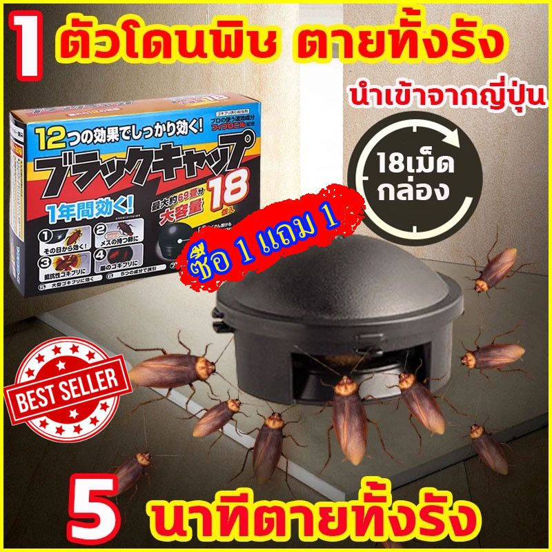 บ้านแมลงสาบ กำจัดแมลงสาบ ฆ่าแมลงสาบ ดักแมลงสาบ ยาฆ่าแมลงสาบ ยากำจัดแมลงสาบ แมลงสาบ