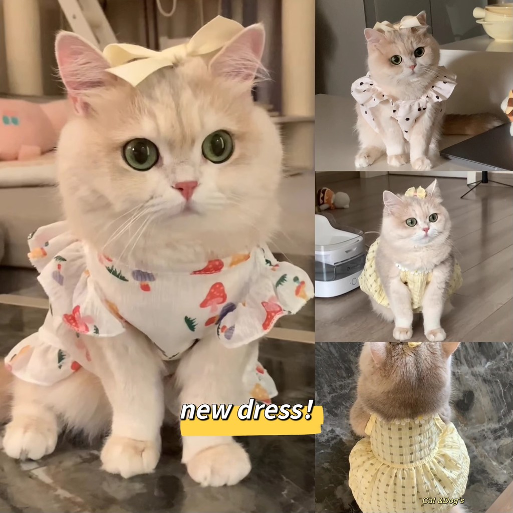 สัตว์เลี้ยงลูกสุนัขเสื้อผ้าสุนัขแต่งตัวแมวลูกสุนัขเจ้าหญิงบินแขนกระโปรงฤดูร้อนบางสไตล์