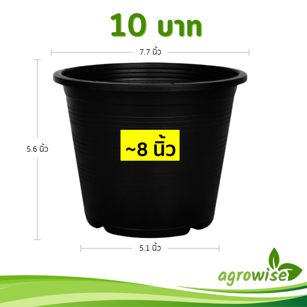 กระถาง กระถางต้นไม้ กระถางพลาสติก เบอร์ 8 7.5 นิ้ว สีดำ Bundle 50 ใบ ชิ้น อัน
