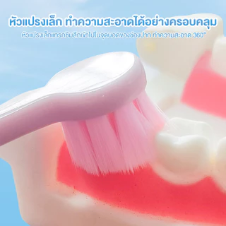 แปรงสีฟัน เซ็ต2 สีพาสเทล สไตล์ญี่ปุ่น สวย น่ารัก น่าใช้ ขนแปรงนุ่มพิเศษ แปรงสะอาด ไม่เจ็บเหงือก ดีไซน์แฟชั่น