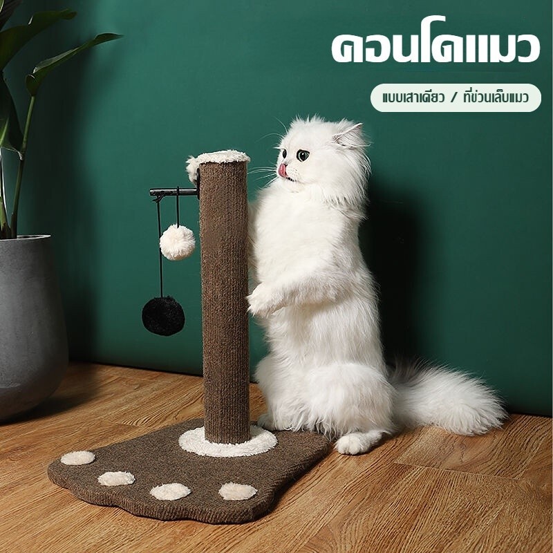 สัตว์เลี้ยงแมว Scratcher ทนต่อการสึกหรอและไม่ทิ้งเศษ / กับ หยอกล้อ แมว ลูกบอล