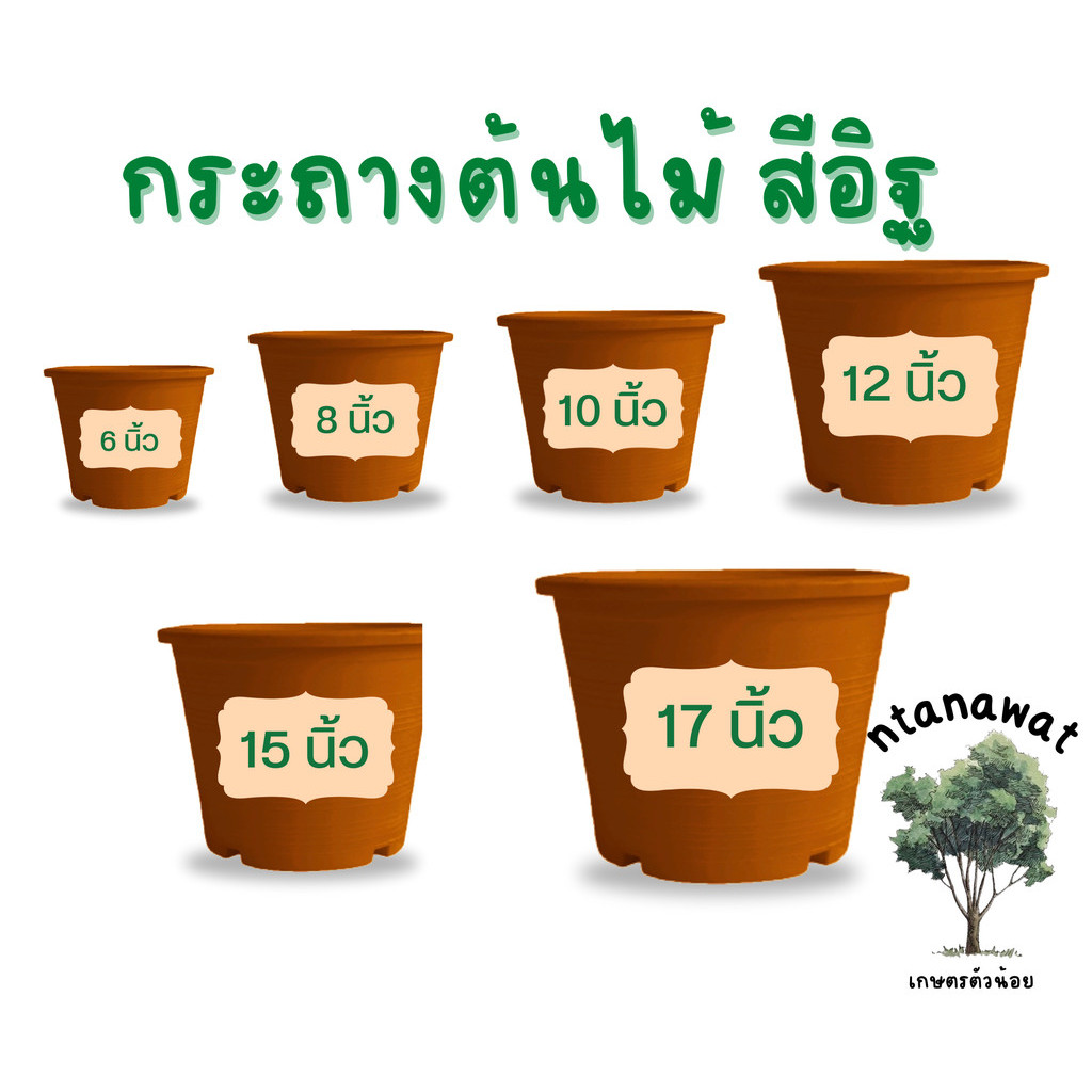 กระถางต้นไม้ (สีอิฐ) กระถางพลาสติก กระถาง 6 นิ้ว 8 นิ้ว 10 นิ้ว 12 นิ้ว 15 นิ้ว 17 นิ้ว สีอิฐ