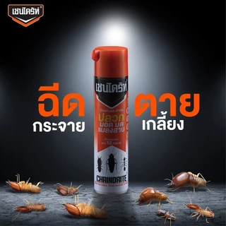 Chaindrite (ยกกล่อง 12 กป.) สเปรย์เชนไดร้ท์ สเปรย์ Chaindrite ยากำจัดปลวก มด มอด และแมลงสาบ