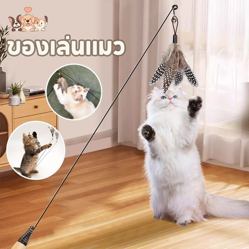 COD ของเล่นเเมว ไม้ตกแมวแบบยืดหดได้ ไม้ล่อแมวสปริง แบบติดพื้น ไม้แหย่แมว Cat Teaser ของเล่นแบบโต้ตอบ